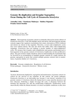 Genome Re-duplication and Irregular Segregation Occur During the