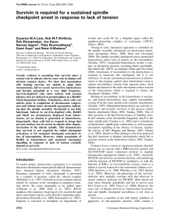 Survivin is required for a sustained spindle checkpoint arrest in