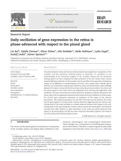 Daily oscillation of gene expression in the retina is - RWTH