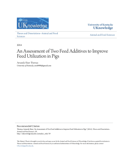 An Assessment of Two Feed Additives to Improve