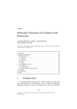 Molecular Timescale of Evolution in the Proterozoic