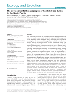 The developmental biogeography of hawksbill sea turtles in the