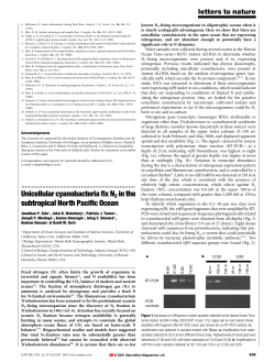 Unicellular cyanobacteria fix N2 in the subtropical North Pacific Ocean