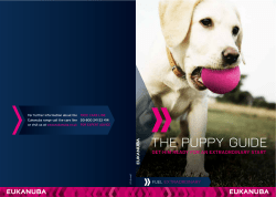 the puppy guide - The Kennel Club