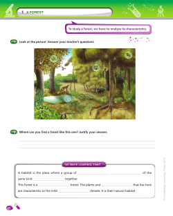 1 a forest