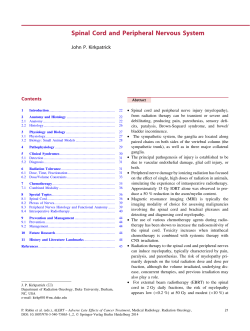Spinal Cord and Peripheral Nervous System