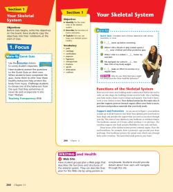 Section 1 Your Skeletal System Your Skeletal