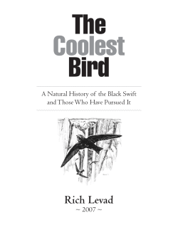 The Coolest Bird - American Birding Association