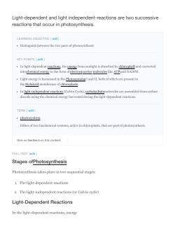 Light-dependent and light independent-reactions are two