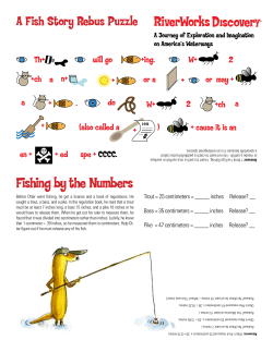 Fishing by the Numbers