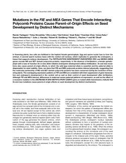 Mutations in the FIE and MEA Genes That Encode Interacting