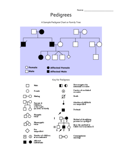 A Sample Pedigree or Family Tree
