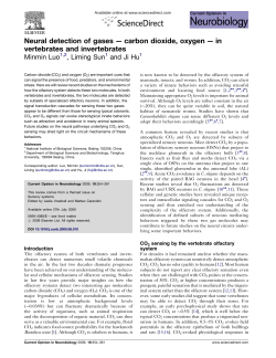 in vertebrates and invertebrates