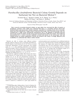 Paenibacillus dendritiformis Bacterial Colony Growth Depends on