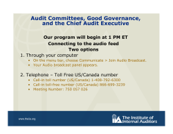 Audit Committees, Good Governance, and the Chief Audit Executive