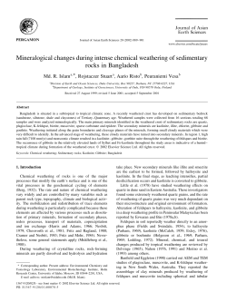 Mineralogical changes during intense chemical weathering of