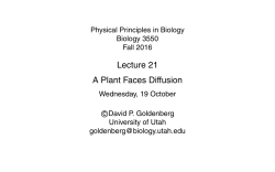 slides - Biology Courses Server