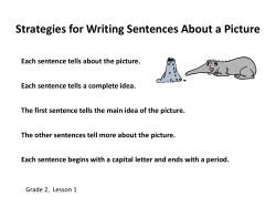 Sentences About a Picture