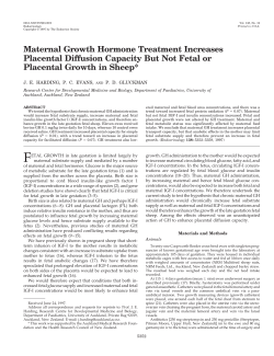 Maternal Growth Hormone Treatment Increases Placental Diffusion