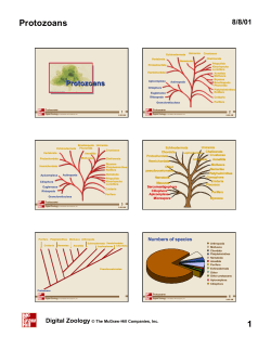 Protozoans 1