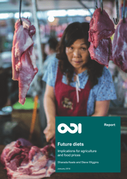 Future diets - Overseas Development Institute