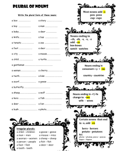 PLURAL OF NOUNS