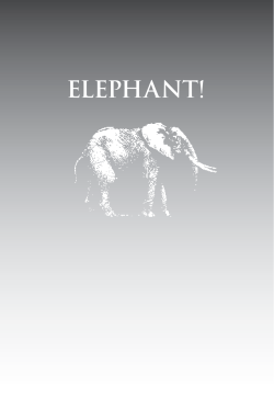 elephant! - Safari Press