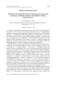 293 SHORT COMMUNICATION THE RELATIONSHIP BETWEEN