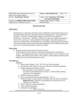 Hematoxylin Stain - Mount Sinai Hospital
