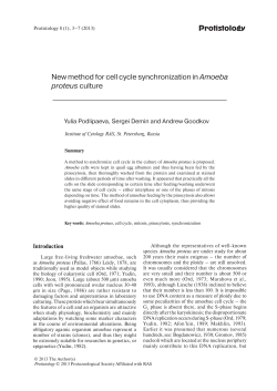 Protistology New method for cell cycle synchronization in Amoeba