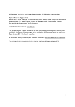 Cayman Islands Appendices