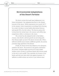 Environmental Adaptations of the Desert Tortoise
