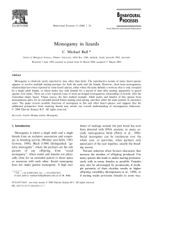 Monogamy in lizards - Institute for Applied Ecology