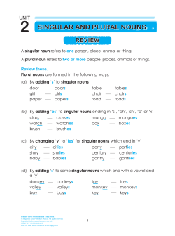 2 singular and plural nouns