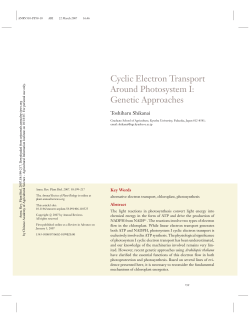 Cyclic Electron Transport Around Photosystem I: Genetic Approaches