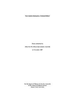 Neo Counter-Insurgency: Vietnam Redux