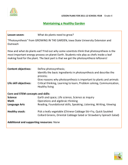 Grade 4 Lesson 7: Photosynthesis - People`s Garden