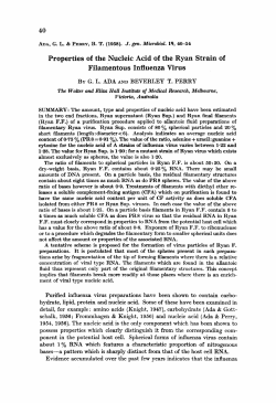 Properties of the Nucleic Acid of the Ryan Strain of