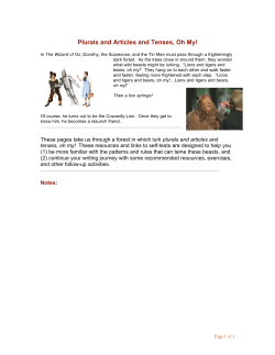 Plurals and Articles and Tenses, Oh My!