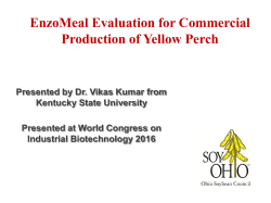 EnzoMeal Evaluation for Commercial Production of Yellow Perch