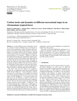 Carbon stocks and dynamics at different successional stages in an