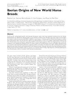 Iberian Origins of New World Horse Breeds