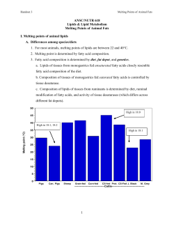 Handout 3 - Melting Points of Animal Fats