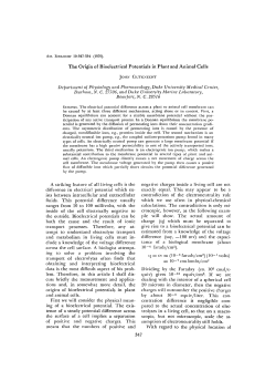 The Origin of Bioelectrical Potentials in Plant and Animal Cells