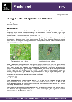 Biology and Pest Management of Spider Mites