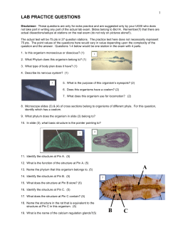 Practice Practical Exam