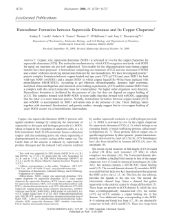 Accelerated Publications Heterodimer Formation
