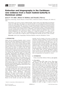 Extinction and biogeography in the Caribbean