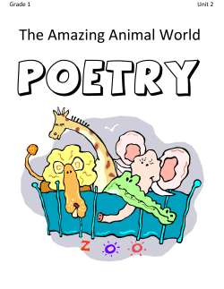 The Amazing Animal World