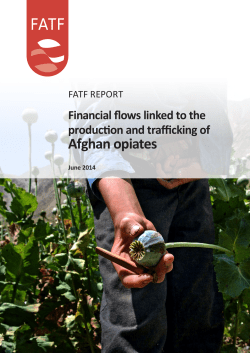 financial flows linked to the production and trafficking of afghan opiates
